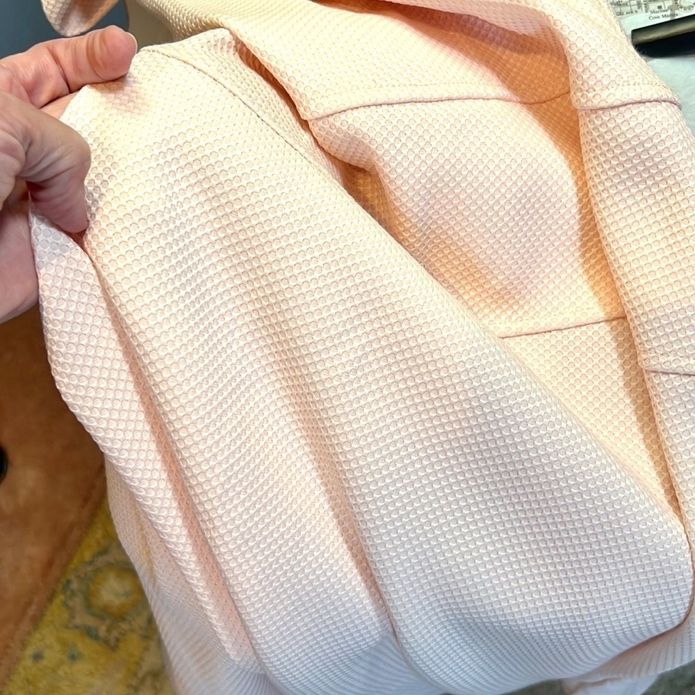 Lark & Ro Peach Pink Textured V Neck Fit Flare Church Brunch Dress Lined Size 12 - Picture 6 of 10